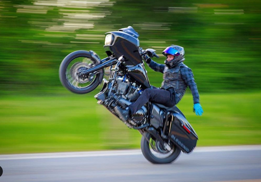 ProBEAM Fillerz Performance Bagger