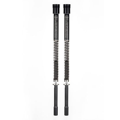 AXEO Performance 49mm Front Motorcycle Suspension for 17-26 FLH/FLT Harley Touring