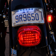 High-Output Rear Strut Motorcycle LED Turn Signals for Harley Dyna
