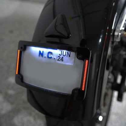 Taillight Eliminator License Plate Mount