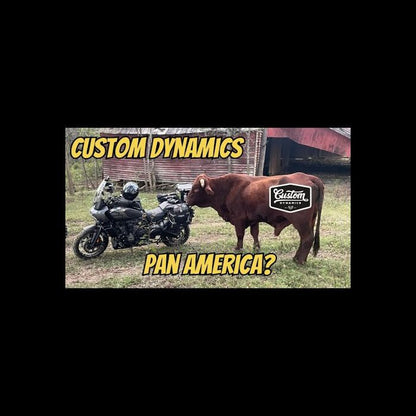 Magic Strobes™ Brake Light Flasher for Pan America