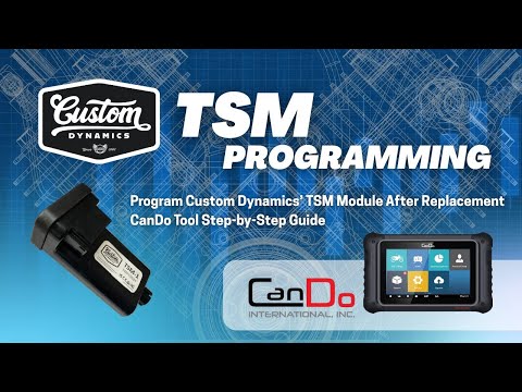 TSM Replacement for Harley Touring, Trike & Sportster – Custom