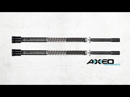 AXEO Performance 49mm Front Motorcycle Suspension for 17-26 FLH/FLT Harley Touring