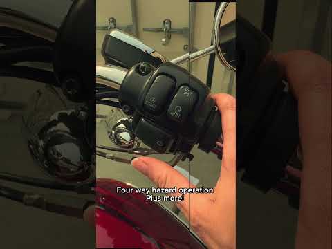 TSM Replacement for Harley Touring, Trike & Sportster – Custom