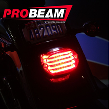 ProBEAM® Squareback Run & Brake Motorcycle LED Taillight