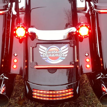 Radius License Plate Frame with Auxiliary LEDs for 1996-2013 Harley-Davidson® Motorcycles