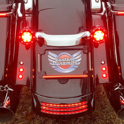 Radius License Plate Frame with Auxiliary LEDs for 1996-2013 Harley-Davidson® Motorcycles