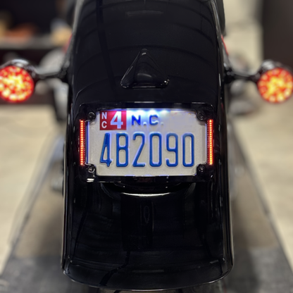 Taillight Eliminator License Plate Mount